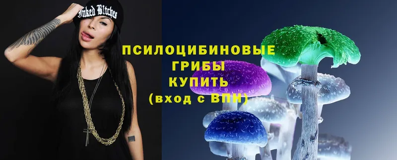 Псилоцибиновые грибы Psilocybe  купить наркоту  Кущёвская 